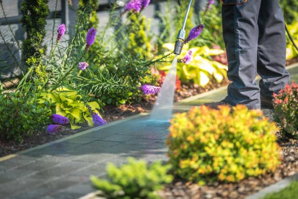 Best Patio and Deck Pressure Washing  in Garden City, NY