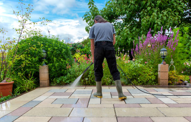 Animal Enclosure Cleaning in Garden City, NY